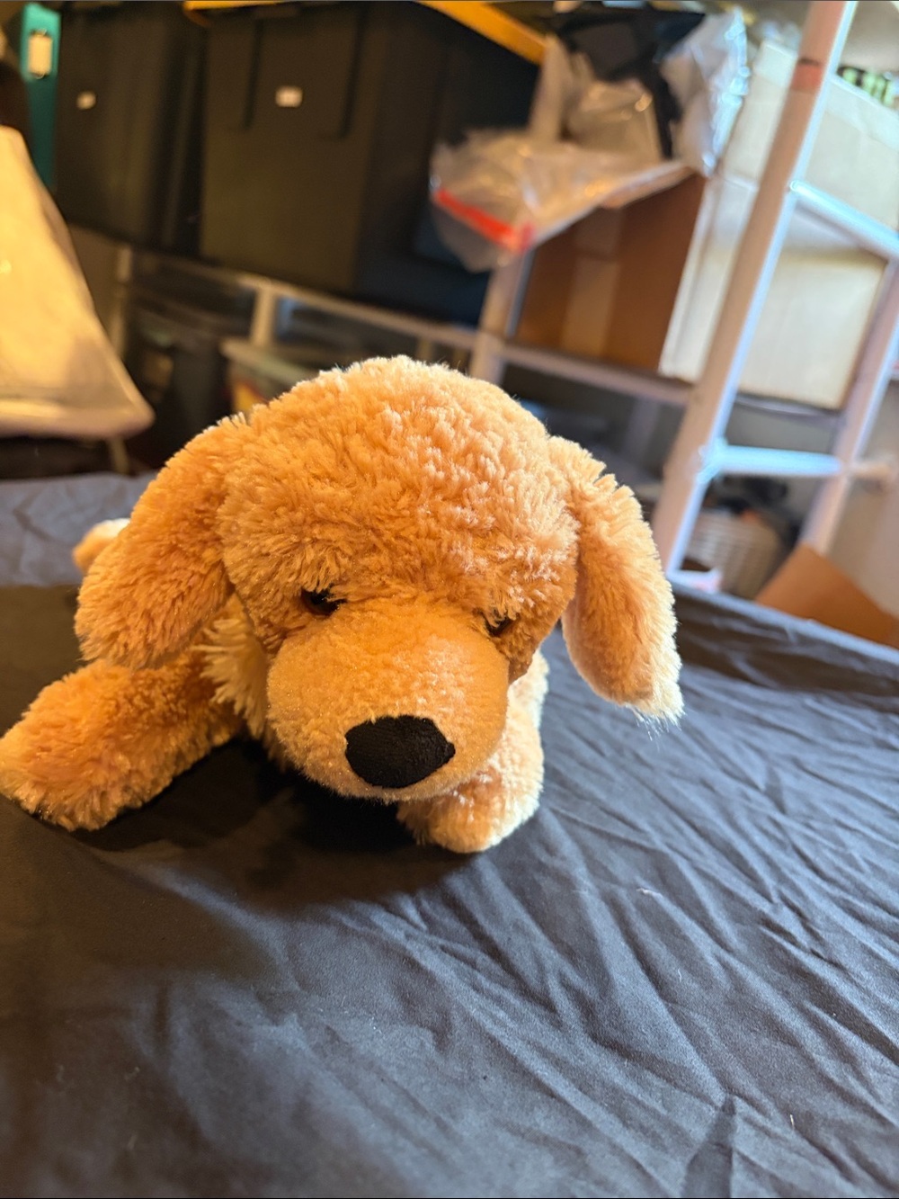 Gund "Gryffin" Golden Retriever Dog Plush